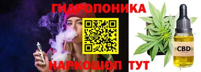 стаф Кинель