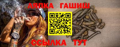 стаф Кинель