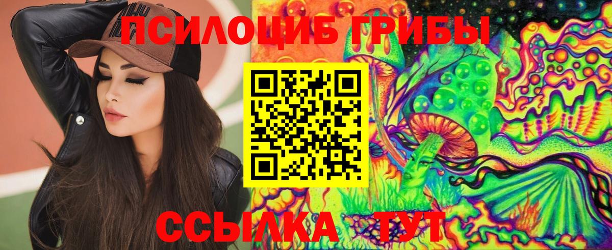 Галлюциногенные грибы Psilocybe Озёры